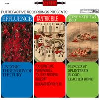 Effluence - Effluence / Tantric Bile / Steve Matthews Trio
