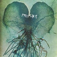 Kasi - Myrsky
