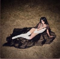 KARLEE GIRL - R.I.P. the idea of you