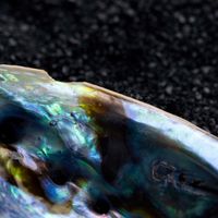 Future Palace - Deep Blue