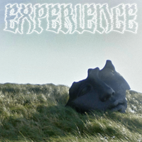 Simse - experience