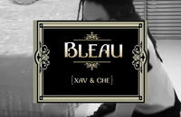 xaviersobased - Bleau