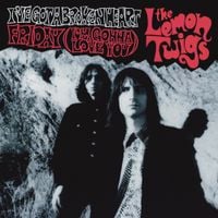 The Lemon Twigs - I've Got A Broken Heart