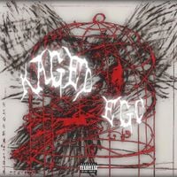 highbriid - Kaged Ego
