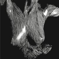 Oceansize - Self-Preserved While The Bodies Float Up (2025 Remaster)