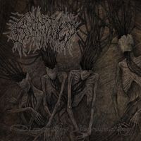 Bloodtied - Dismantling Neuroanatomy
