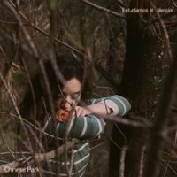 Chinese Park - Estudiamos el silencio