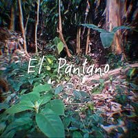 El Noveno Circulo - El Pantano