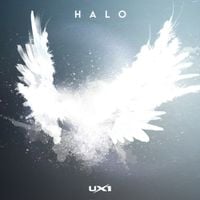 UX1 - HALO