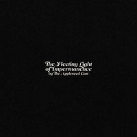 The Appleseed Cast - The Fleeting Light of Impermanence
