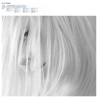 Wraith9 - Silver Globe / American Idol