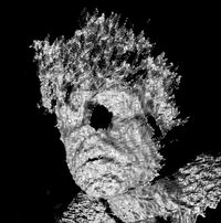 Moldhands - night visions