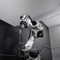 WHITE ASH - Spade 3