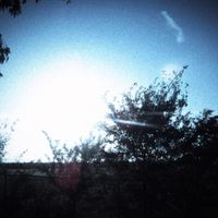 stella - would you have stayed