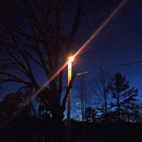 stella - october