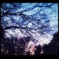 stella - Put Your Paw To The Sky