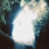 nolife - A N G E L G O R E