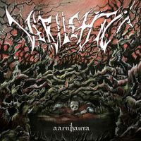 Verilehto - Aarnihauta