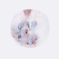 Evelyn Frances - Seed