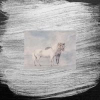 Horses - Every Dumb Thing I Ever Did