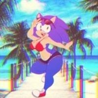 Ｂｌａｎｋ．ｚｏｅｙ ゞョ閲 - Sonic At The Beach