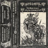 ANHEDONIA - Merciless Despoliation