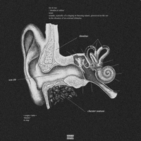 Chester Watson - tinnitus