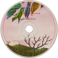 Talk Talk - After The Flood