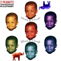 Martin Van Ruin Collective - 2 Peanuts N Elephant