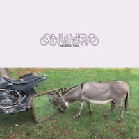 Mordo Mia - Chumbo C&ocirc;ncavo
