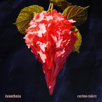 čuvarkuća - Curino Cvijeće