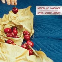 Nation of Language - In Another Life