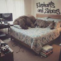 The Reality Check Experiment - Elephants and Zebras