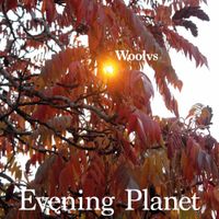Woolvs - Evening Planet