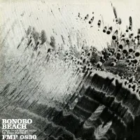 Hans Reichel - Bonobo Beach