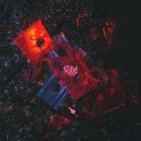 six impala - RUBBER