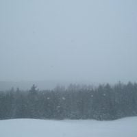 Mother Evergreen - Mother Evergreen
