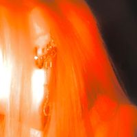 Total - Lord of Forgiveness