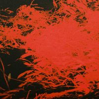 Anthony Naples - In Studio Magic