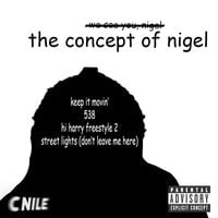 CNILE - The Concept of Nigel