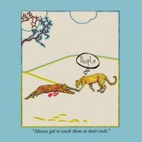 Animal Collective - People