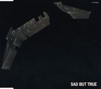 Metallica - Sad But True