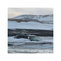 Park Bird - Ring Road