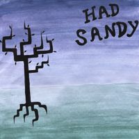 Had Sandy - Desire Paths