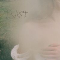 Lacuna - Nest