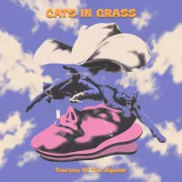 Cats In Grass - Tourism of the Bipolar