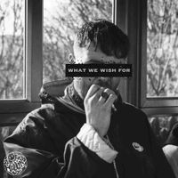 Hollins - What We Wish For