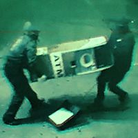 Frantic Forms - Stream