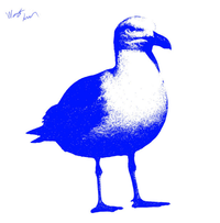 West Ivar - Dream On, Seagull
