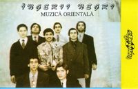 &Icirc;ngerii Negri - Muzică Orientală